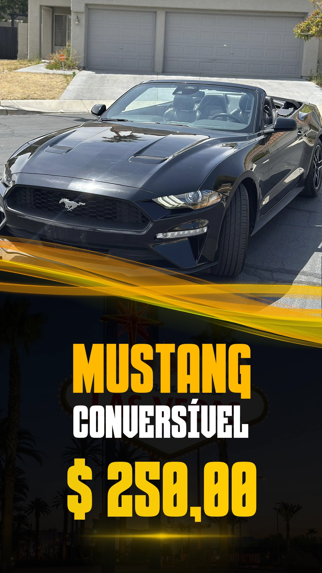 Mustang